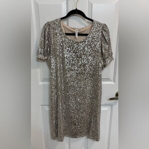 Cable & Gauge Silver Sequin Short Sleeve Mini Dress